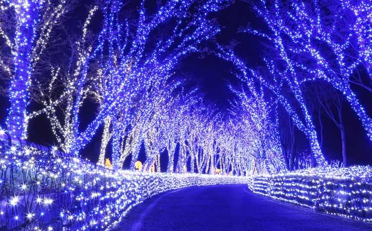 Busan/Jeju-Busan Illumination Theme Park, the largest light theme park in Korea