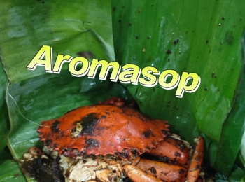 Aromasop Seafood and Anton 88 Se