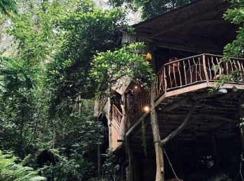 Treehouse De Valentine in Cebu, 