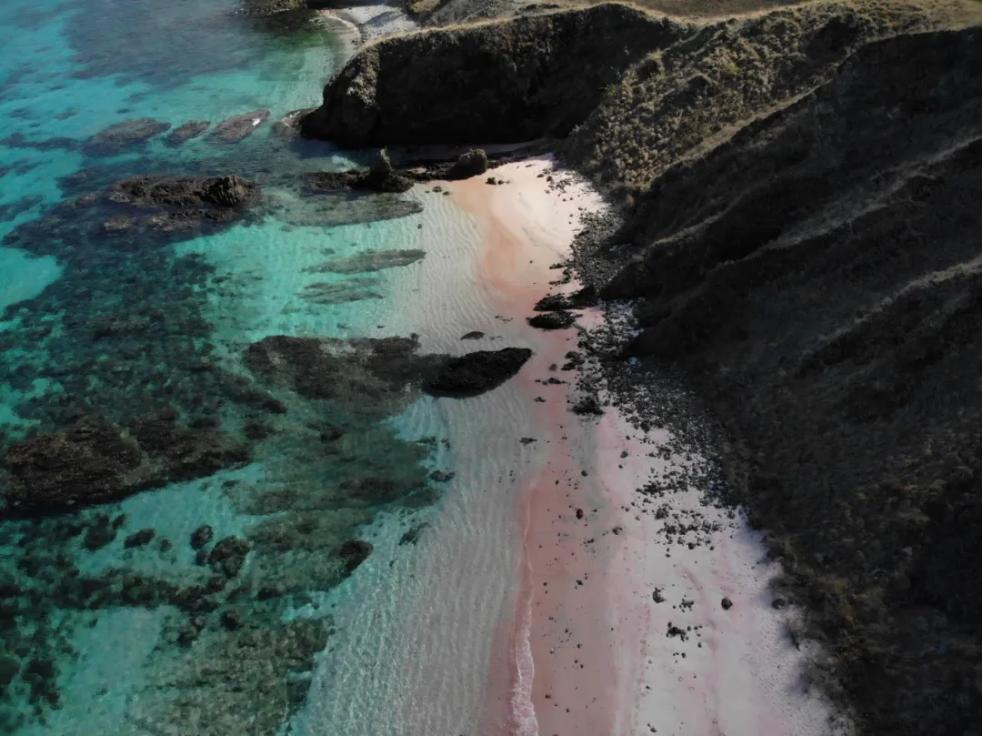 Bali-Komodo National Park｜Pink Romantic Girl’s Heart Holy Land 200 nautical miles east of Bali