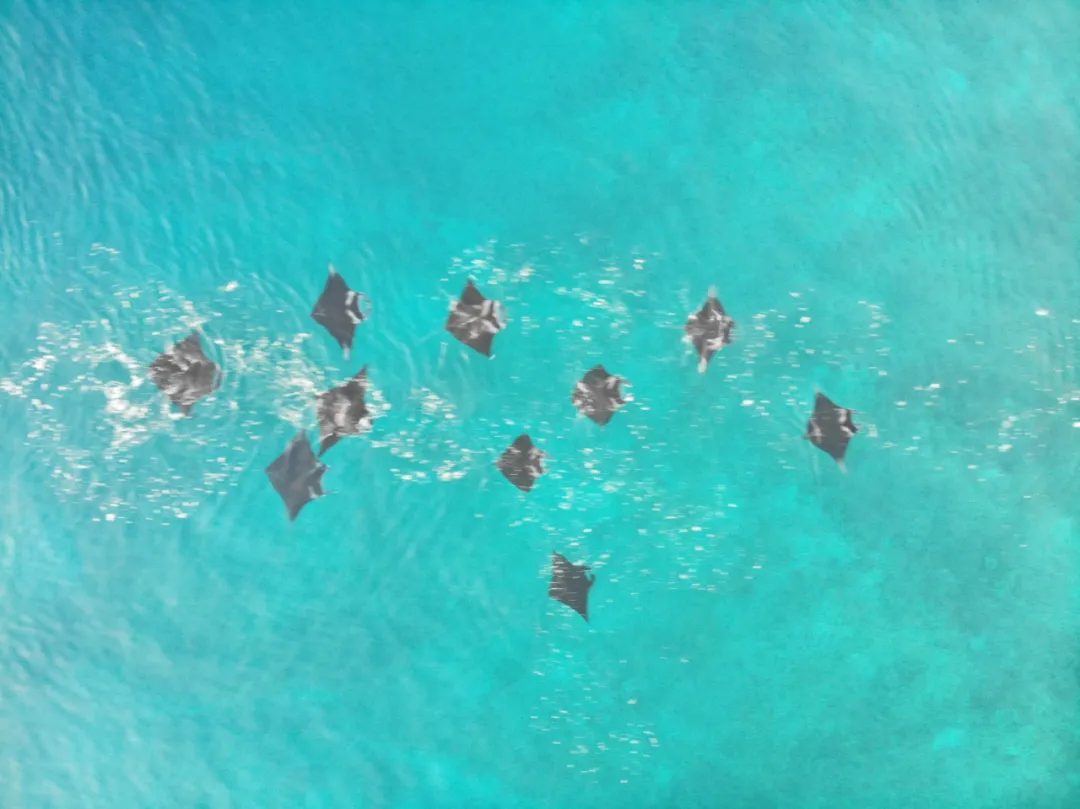 Bali-Komodo National Park｜Pink Romantic Girl’s Heart Holy Land 200 nautical miles east of Bali