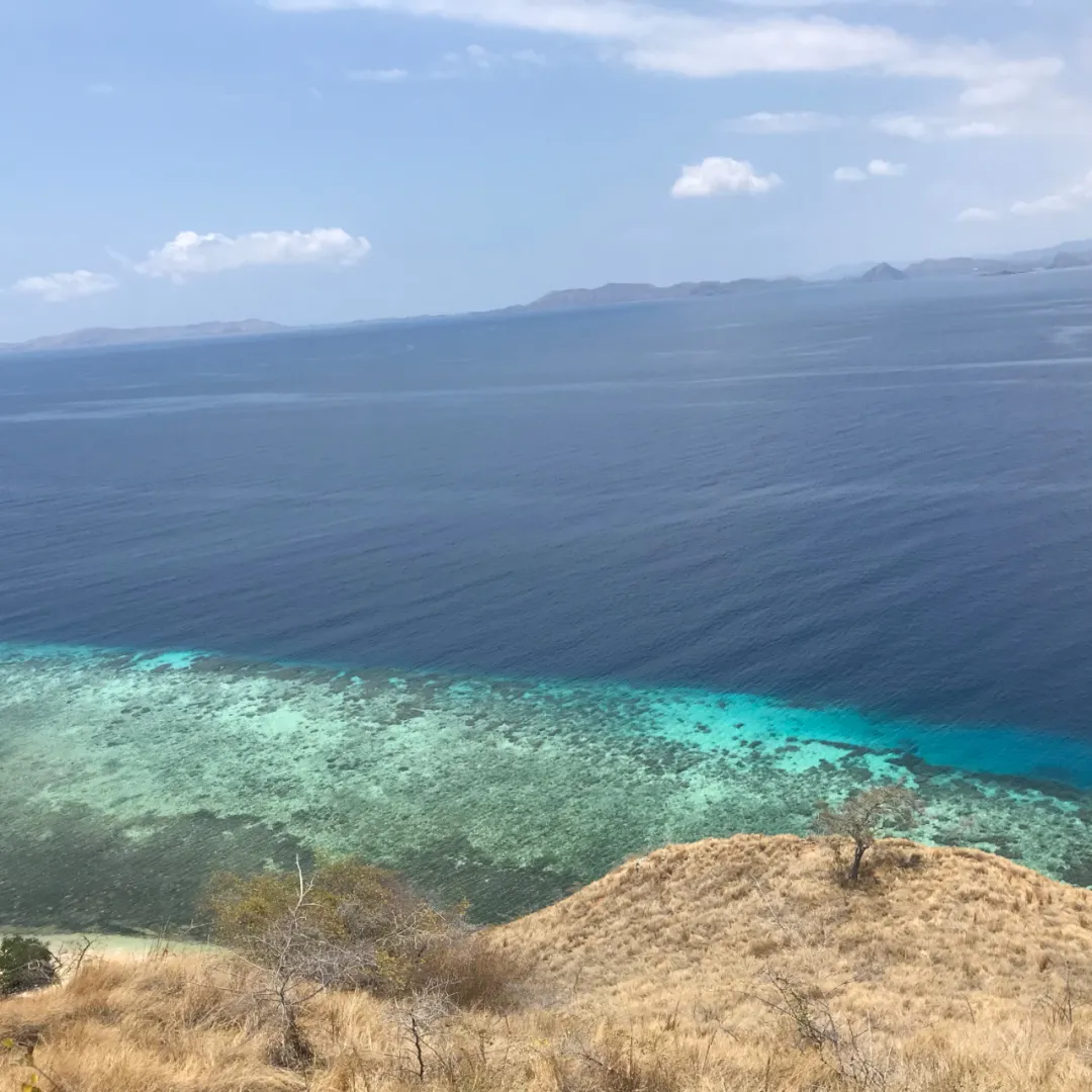 Bali-Komodo National Park｜Pink Romantic Girl’s Heart Holy Land 200 nautical miles east of Bali