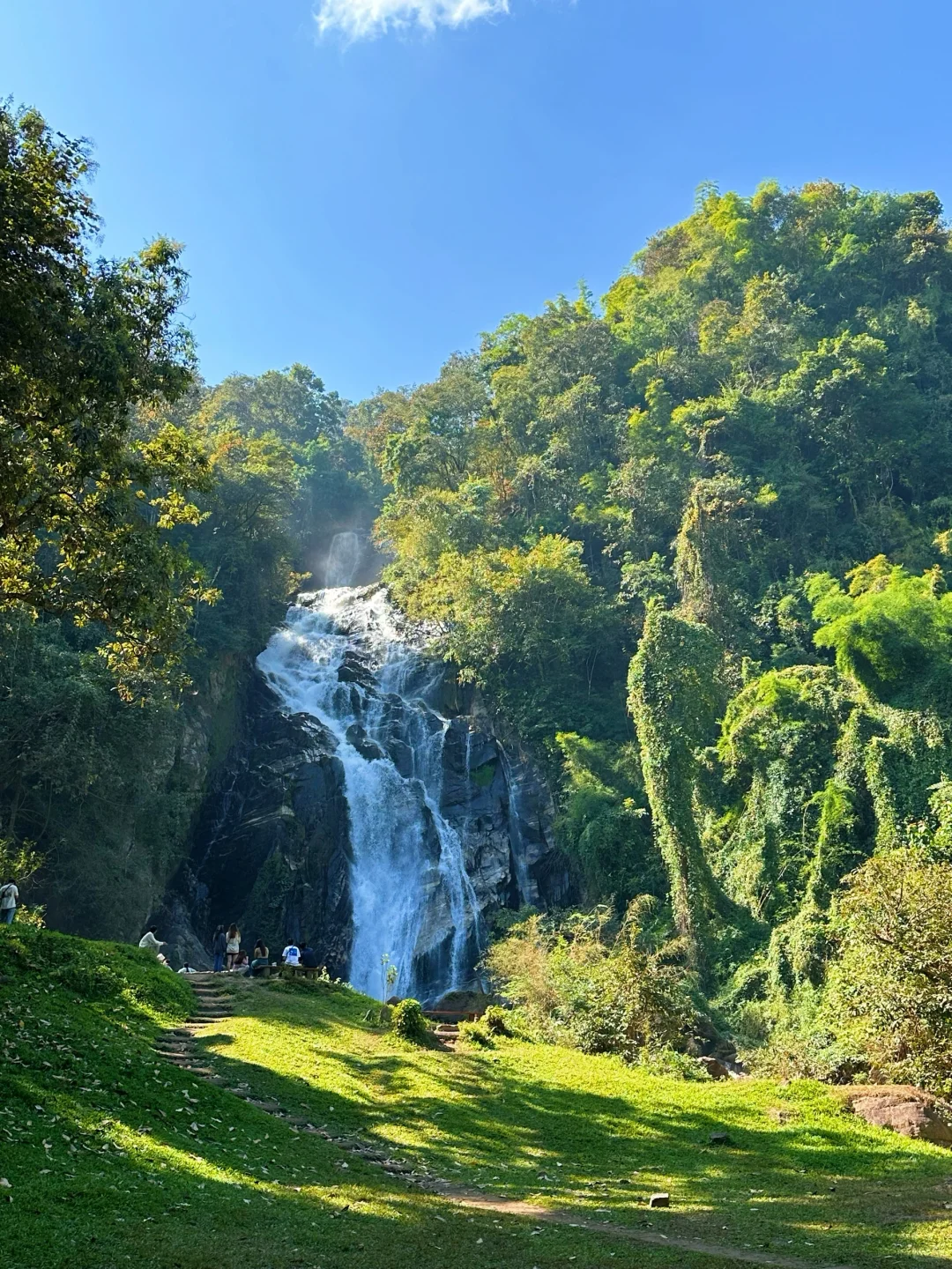 Chiang Mai-Chiang Mai | Stumbled into the secret land of the world🦋National Park Mae Tia Waterfall