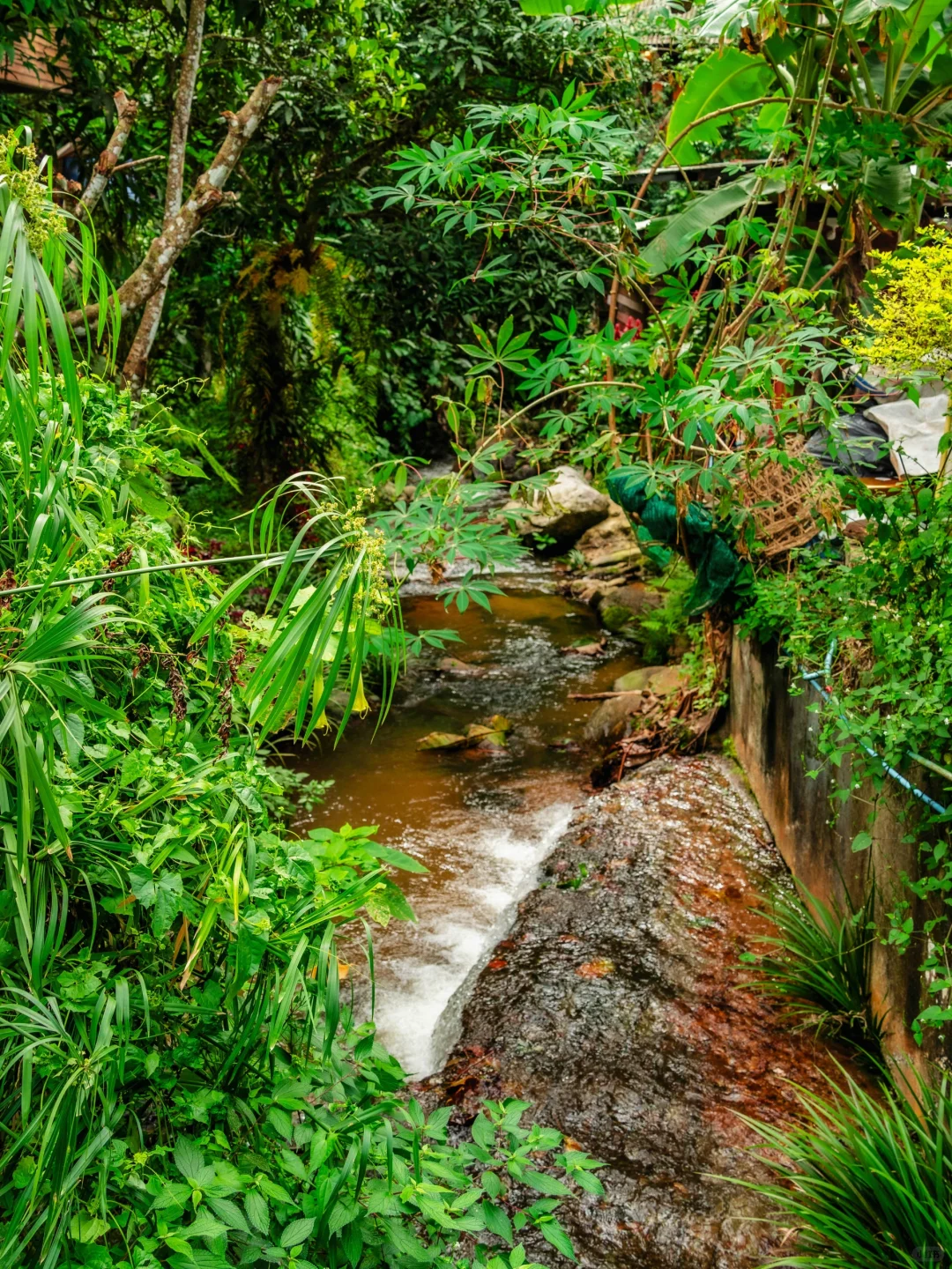 Chiang Mai-Mae Kampong Village, a small Thai village with very tropical characteristics