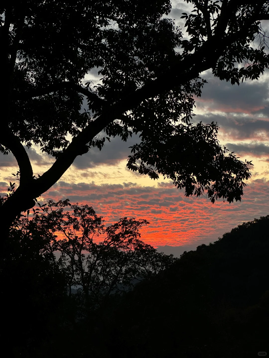 Chiang Mai-I stayed at Chiang Mai Glass Tree House Hotel for four nights without going out.