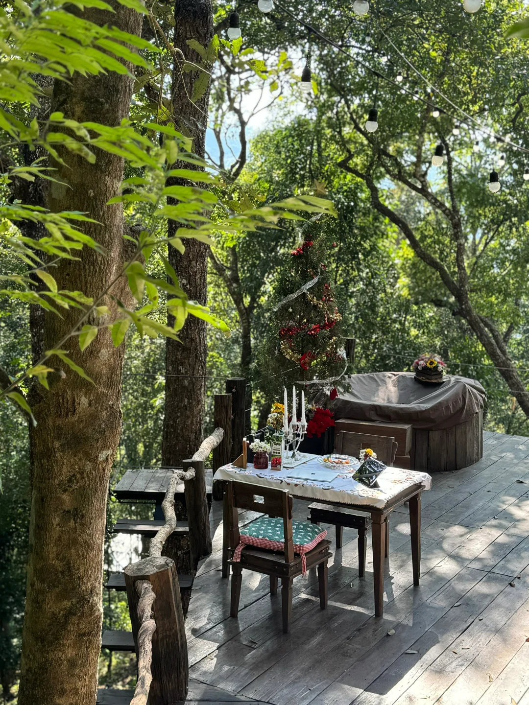 Chiang Mai-I stayed at Chiang Mai Glass Tree House Hotel for four nights without going out.