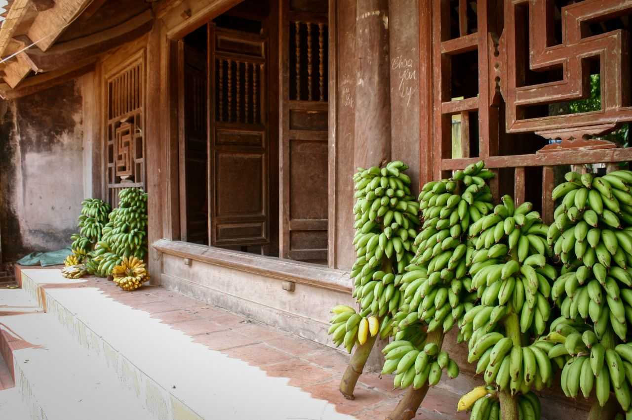 Hanoi-Tang Lam Ancient Village: Vietnamese cultural heritage and unique rural architectural culture, standing leisurely outside of time and space