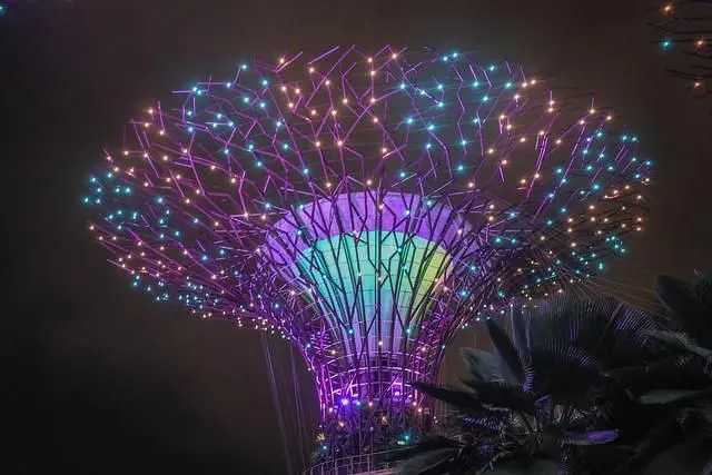 Singapore-Free check-in at Singapore's Supertree Grove, a wonderland resembling Avatar