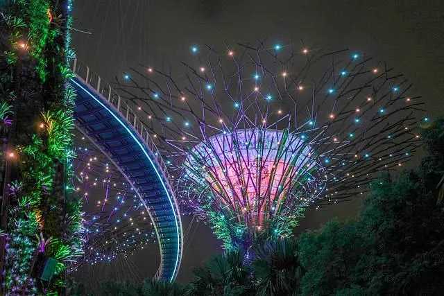 Singapore-Free check-in at Singapore's Supertree Grove, a wonderland resembling Avatar