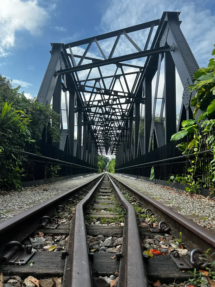 Singapore-Follow [Love Brother and Sister] to visit Singapore Travel Guide (Part 7) Bukit Timah