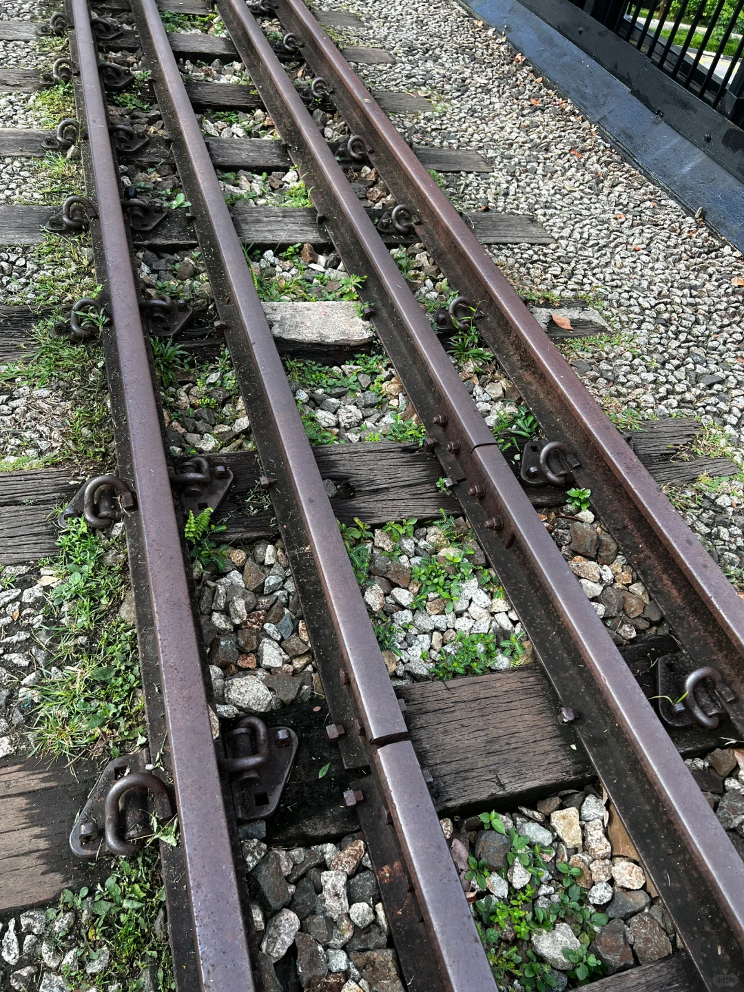 Singapore-One-hour outdoor hiking route at the old Bukit Timah Railway Station