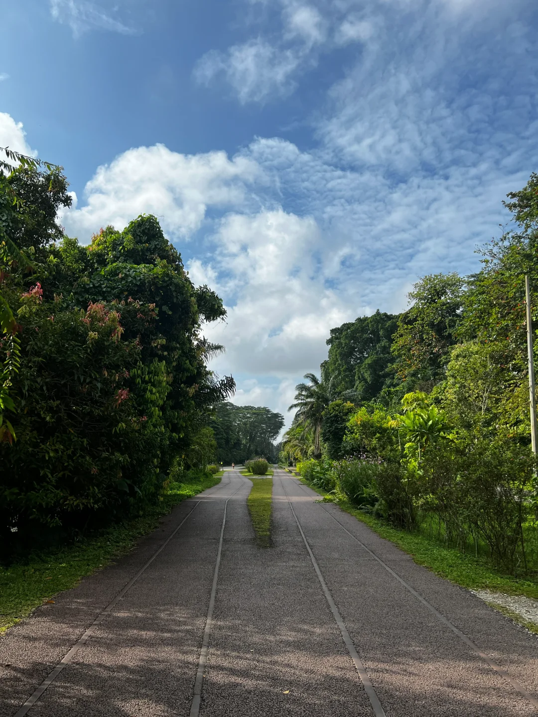 Singapore-One-hour outdoor hiking route at the old Bukit Timah Railway Station