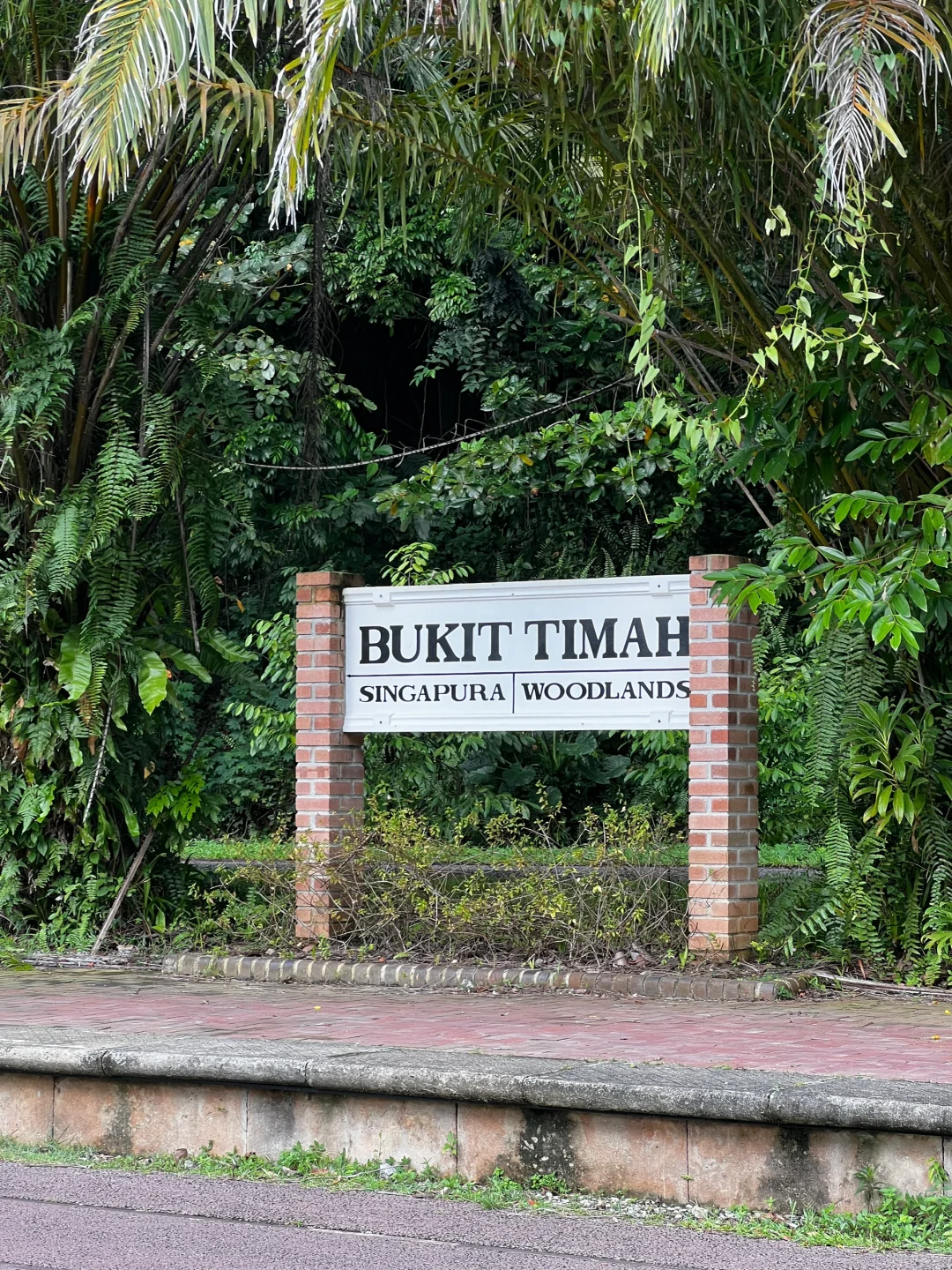 Singapore-One-hour outdoor hiking route at the old Bukit Timah Railway Station