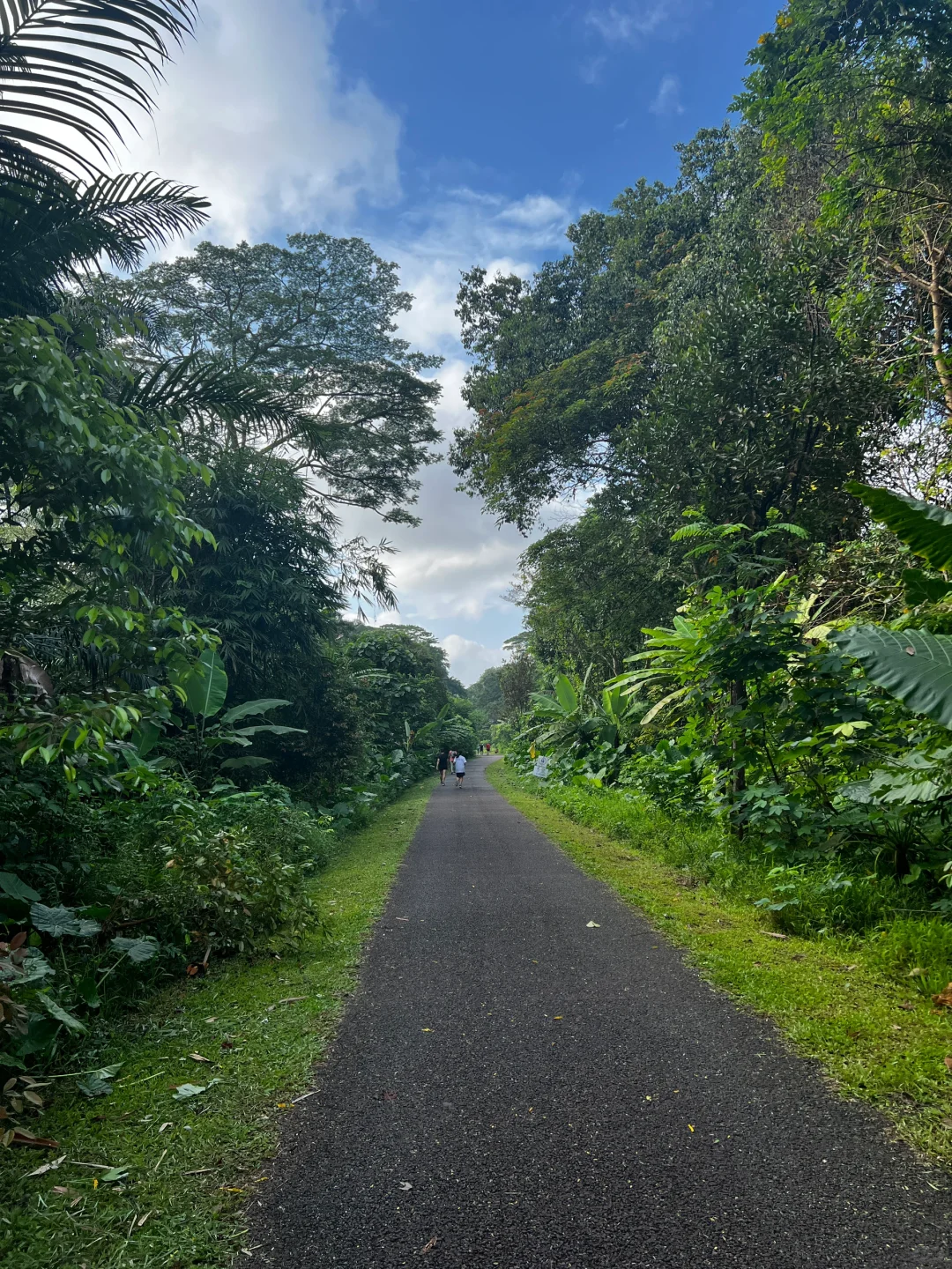 Singapore-One-hour outdoor hiking route at the old Bukit Timah Railway Station