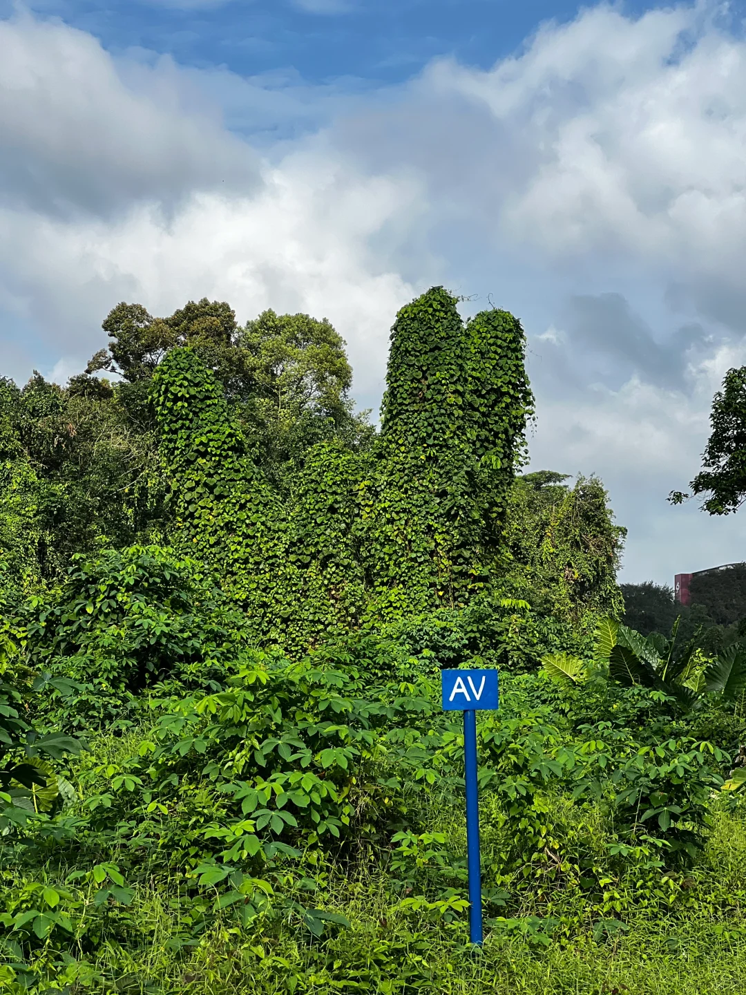 Singapore-One-hour outdoor hiking route at the old Bukit Timah Railway Station