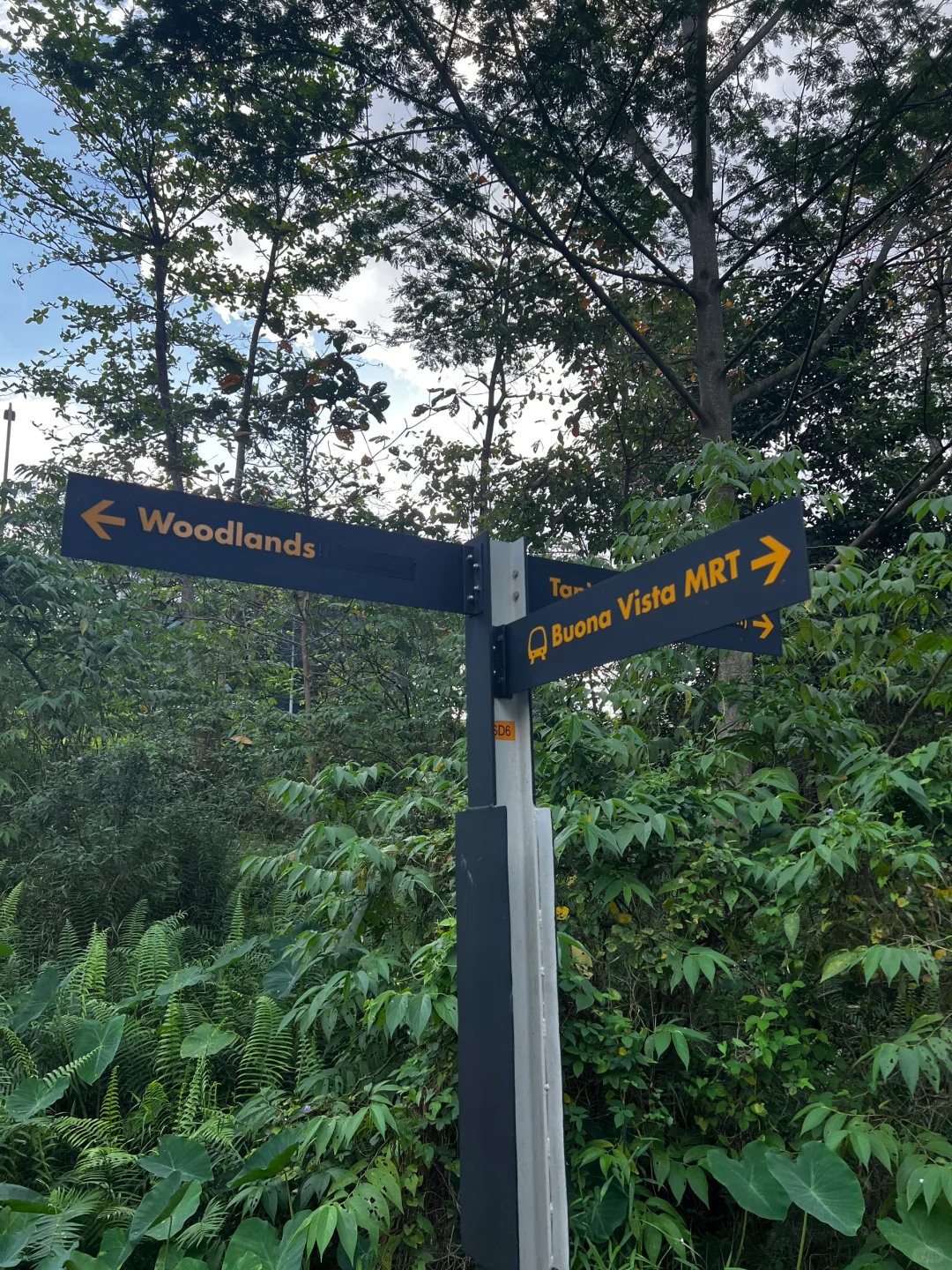 Singapore-One-hour outdoor hiking route at the old Bukit Timah Railway Station