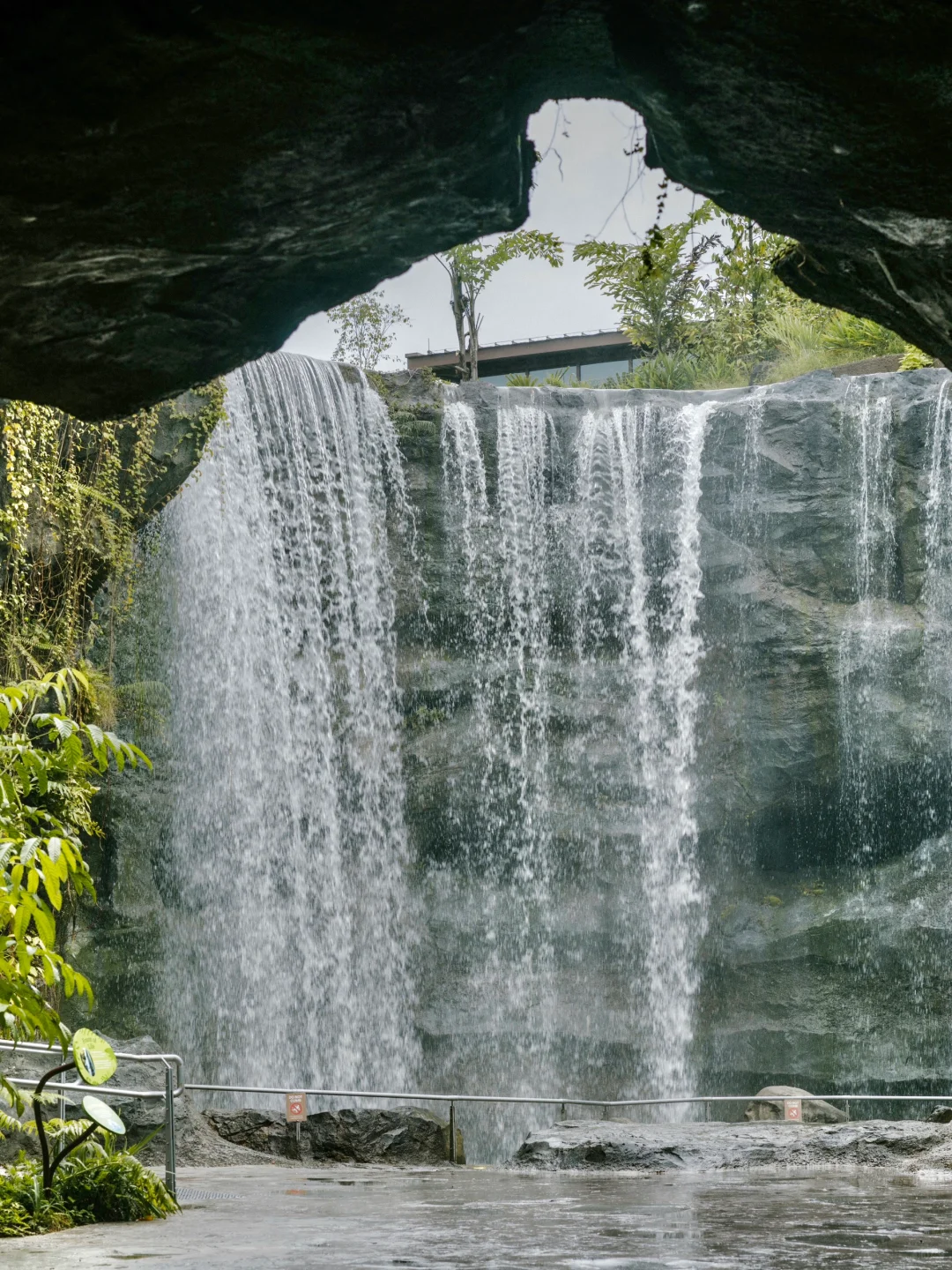 Singapore-A zoo that truly respects animals, see giant pandas in Singapore