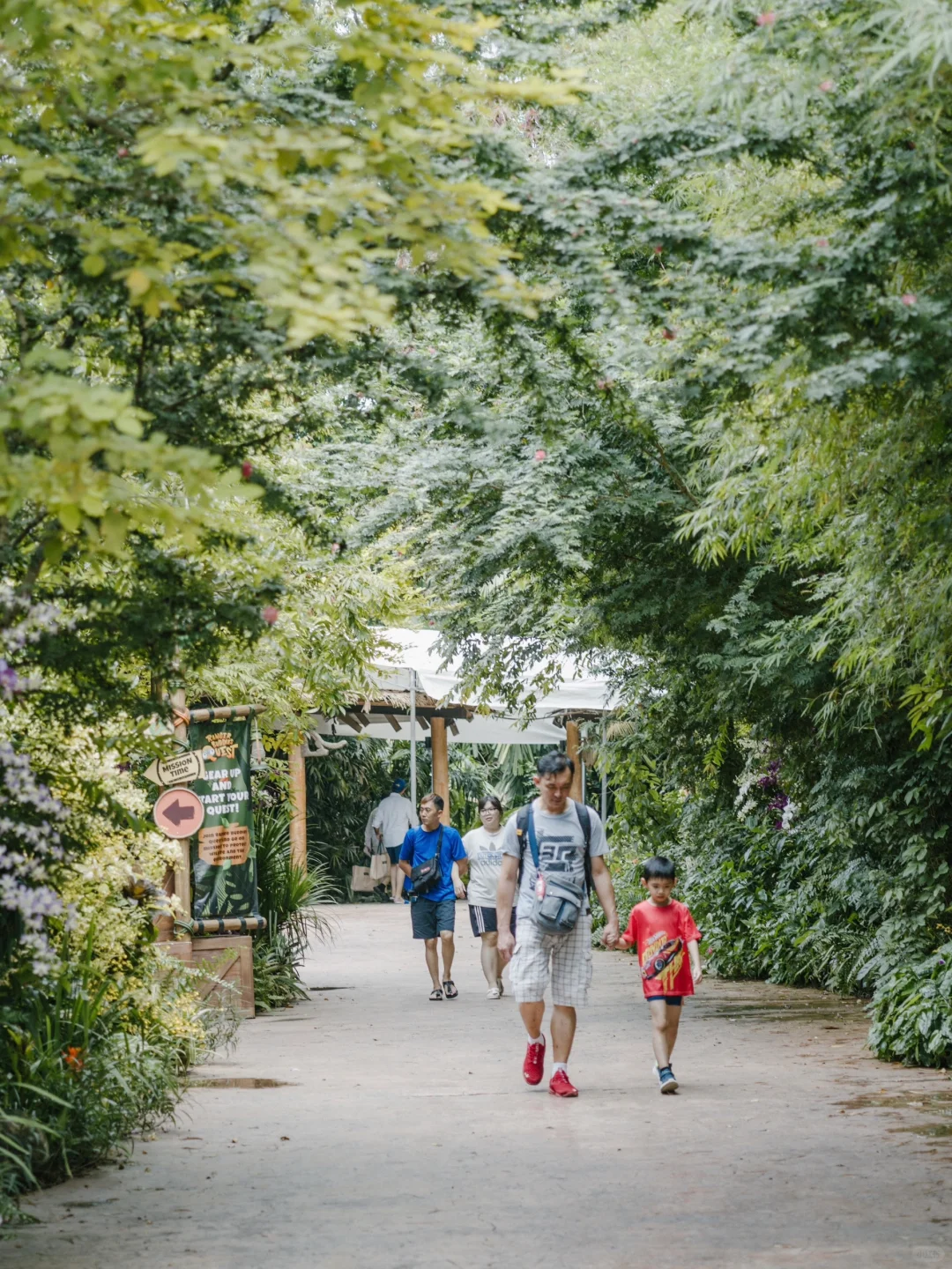 Singapore-A zoo that truly respects animals, see giant pandas in Singapore