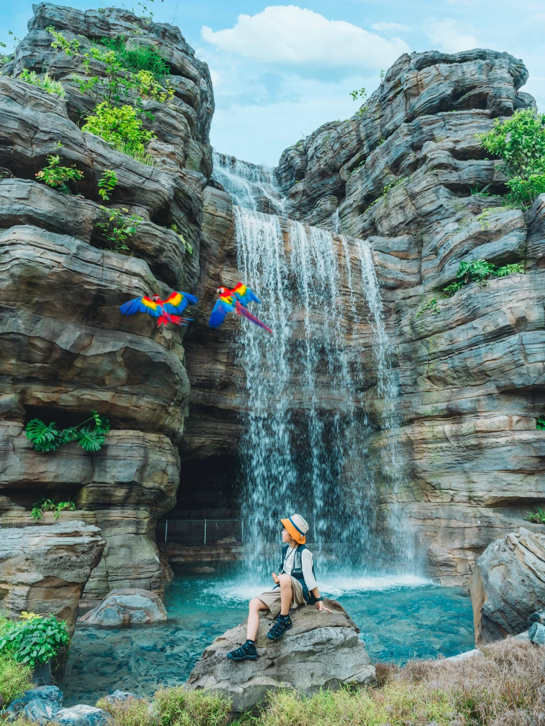 Singapore-Singapore Bird Park, including rainforest, wetlands, rice fields, eucalyptus forests and other environments