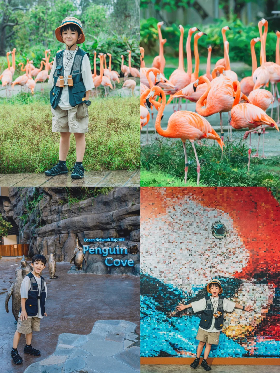 Singapore-Singapore Bird Park, including rainforest, wetlands, rice fields, eucalyptus forests and other environments