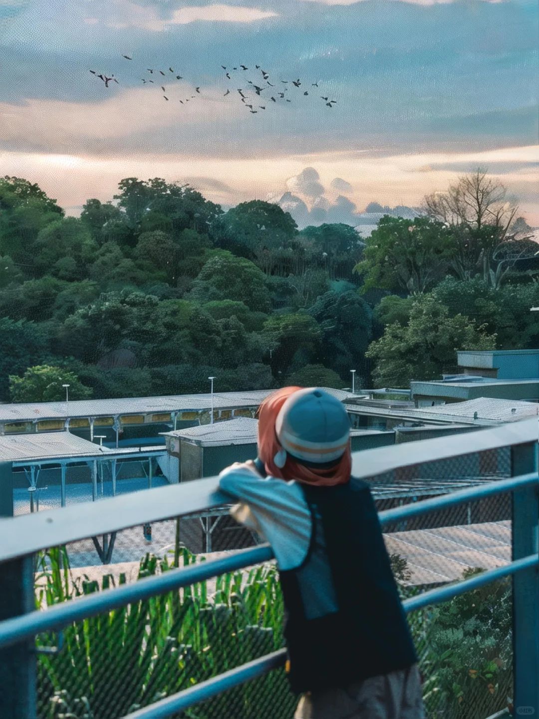 Singapore-Singapore Bird Park, including rainforest, wetlands, rice fields, eucalyptus forests and other environments