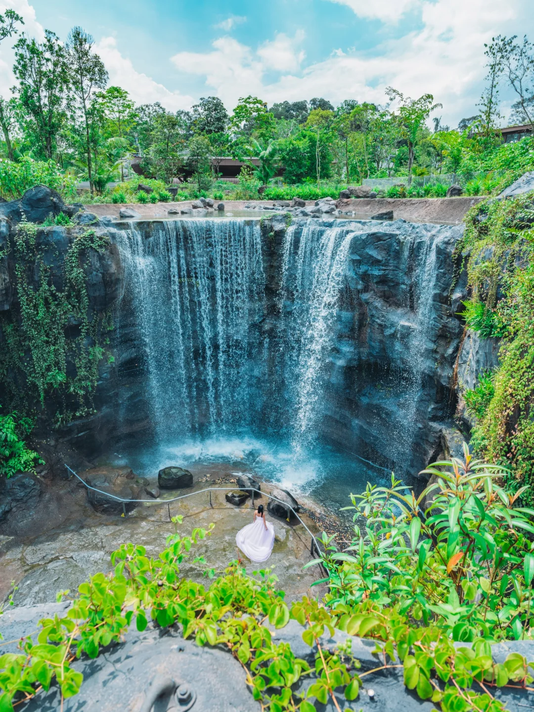 Singapore-Singapore Bird Park, including rainforest, wetlands, rice fields, eucalyptus forests and other environments