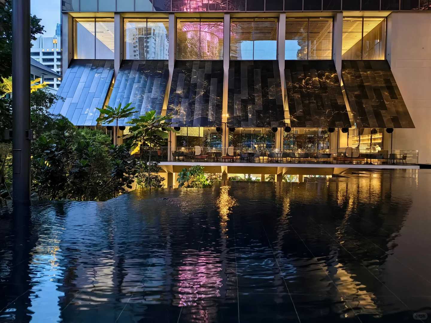 Singapore-Pan Pacific Orchard Hotel Singapore, a new luxury hotel, close up overlooking the invincible swimming pool