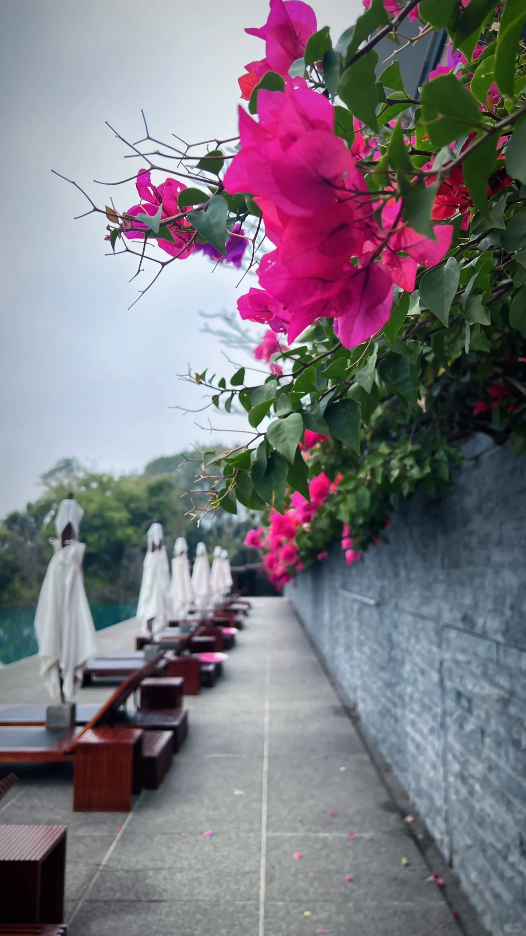 Taiwan-The Lalu Sun Moon Lake Hotel in Nantou was built in 1916 during the Japanese colonial period in Taiwan.