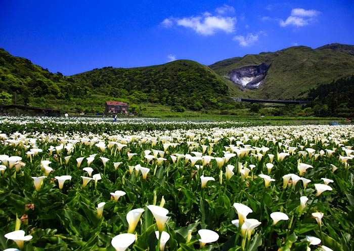 Taiwan-2024 Taiwan Travel Must-Visit Attractions: Top 10 Must-Visit Attractions for First-Time Travelers to Taiwan