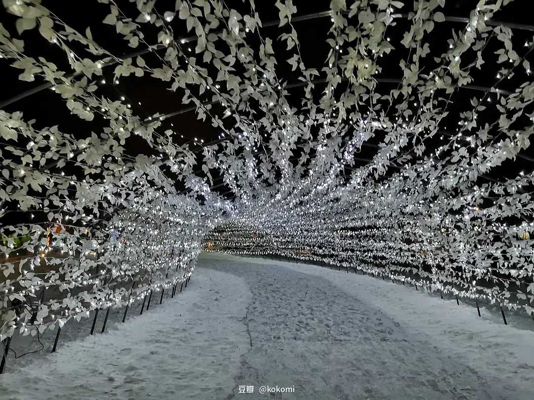 Sapporo/Hokkaido-A complete guide to the Sapporo Winter Snow Festival in Hokkaido, Japan