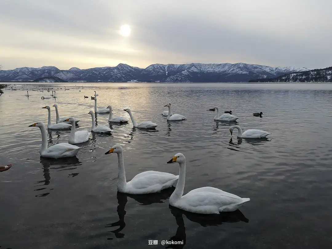 Sapporo/Hokkaido-A complete guide to the Sapporo Winter Snow Festival in Hokkaido, Japan