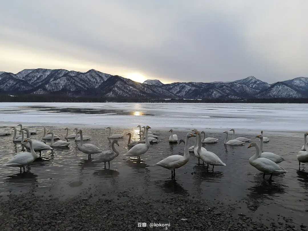 Sapporo/Hokkaido-A complete guide to the Sapporo Winter Snow Festival in Hokkaido, Japan