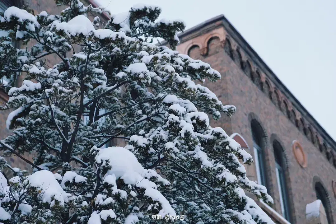 Sapporo/Hokkaido-Strolling in Sapporo, Hokkaido, the pearl of the north covered in snow