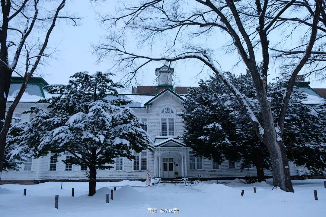 Sapporo/Hokkaido-Strolling in Sapporo, Hokkaido, the pearl of the north covered in snow