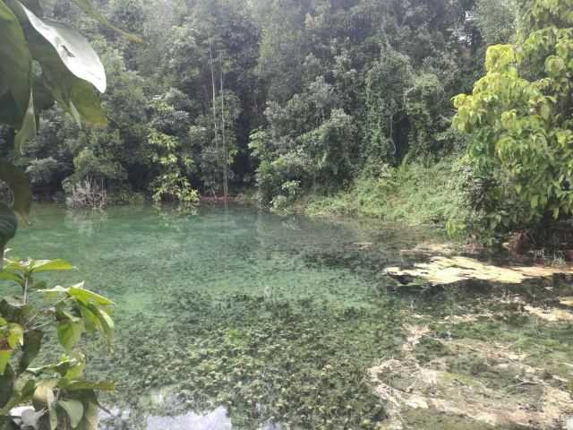 Krabi-Krabi Hot Spring Waterfall, undeveloped pristine environment