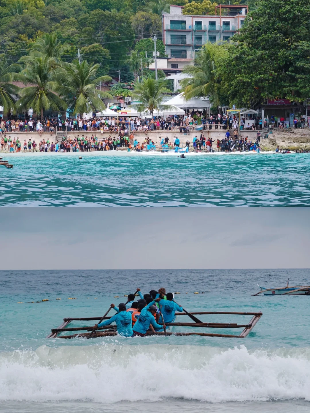 Cebu-Cebu, Philippines | Watching whale sharks with stars on their backs in Oslob