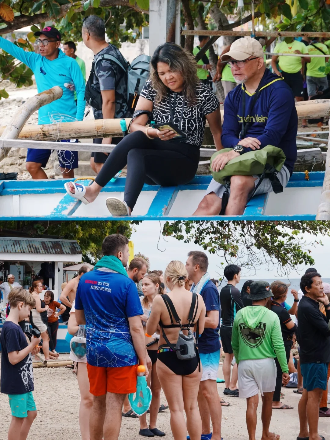 Cebu-Cebu, Philippines | Watching whale sharks with stars on their backs in Oslob