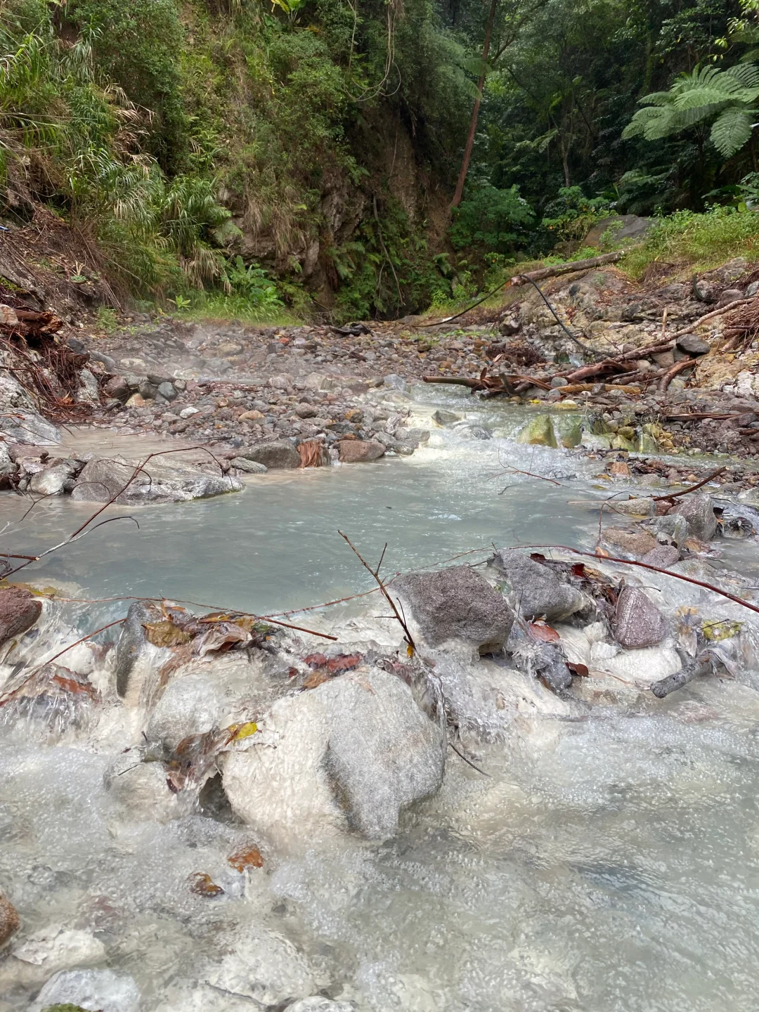 Cebu-Dumaguete wild sulfur hot spring, Basley hot spring, undeveloped nature