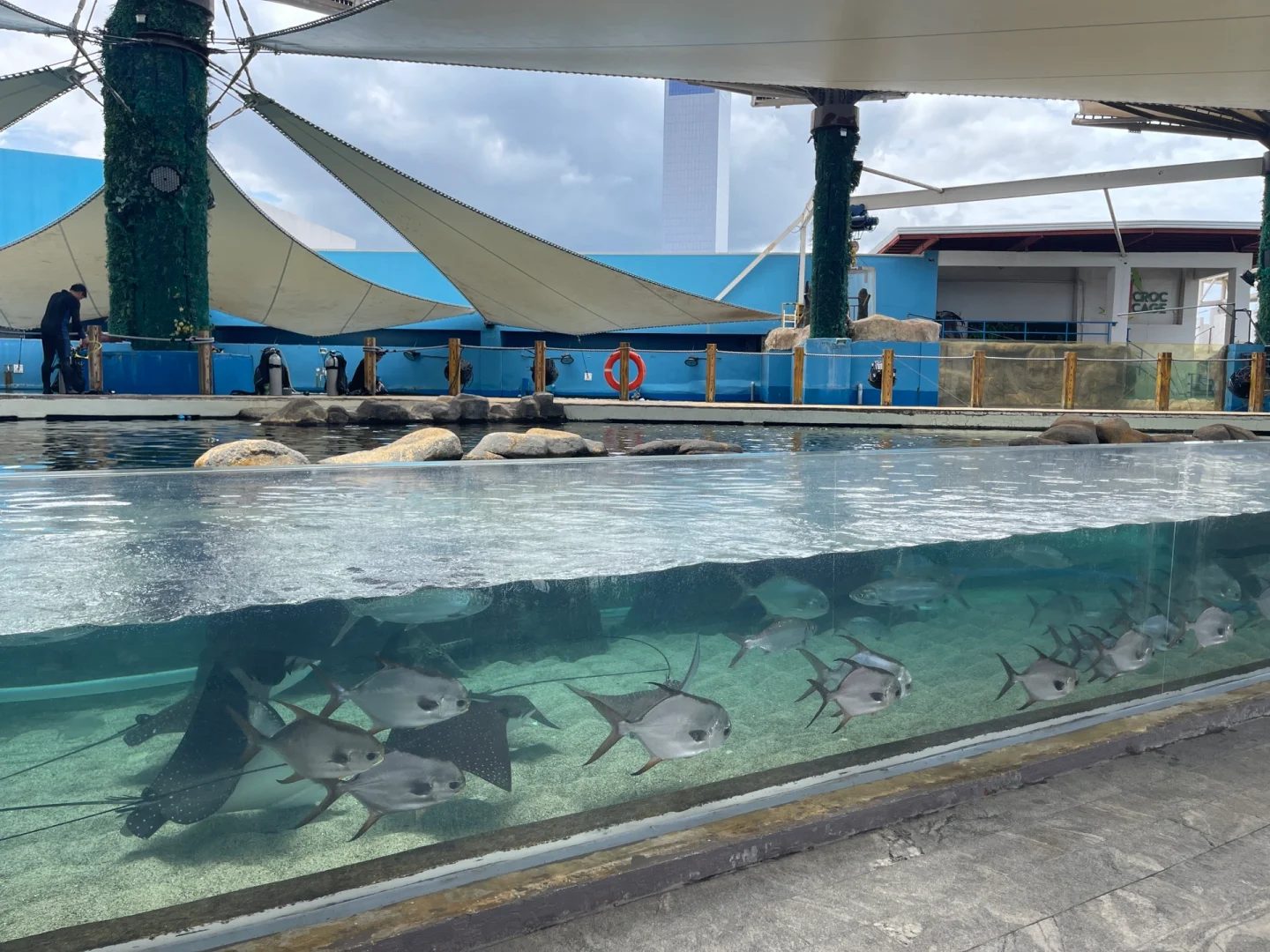 Cebu-Philippines｜Cebu Ocean Park: A little-known destination for children