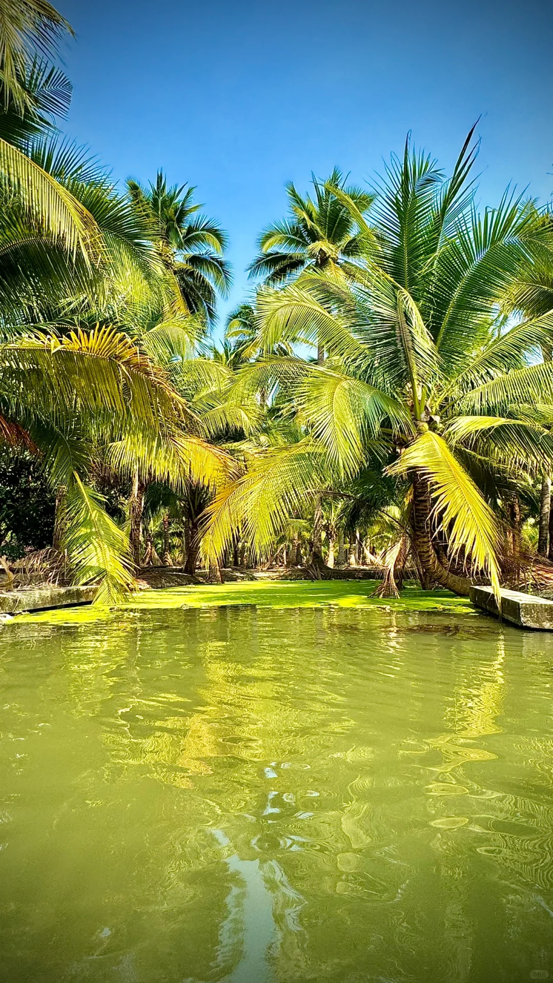 Hua Hin-Hua Hin Maeklong Railway Market, Damnoen Saduak Floating Market, Khao Long Cave