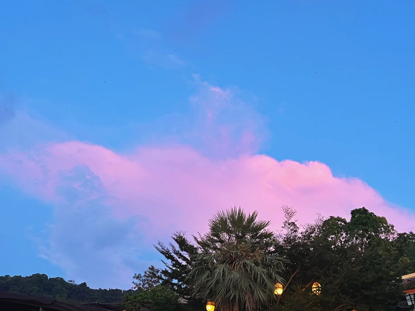 Krabi-A must-visit sunset restaurant on the top of the mountain in Krabi🍴the hilltop⛰️