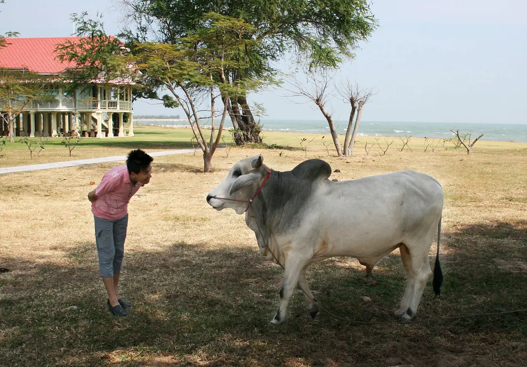 Hua Hin-One month in-depth travel in Thailand, from Hua Hin to Koh Chang to the City of Angels