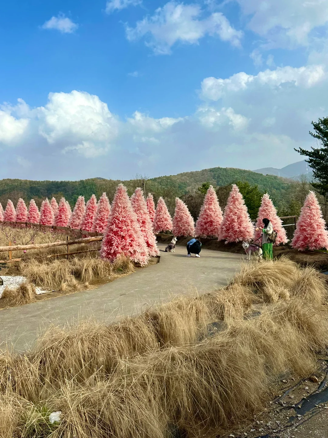 Seoul-Pocheon Art Valley in Seoul, a granite cliff that is as steep as a folding screen