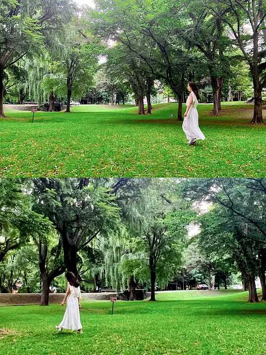 Sapporo/Hokkaido-I was deeply attracted by the grass, trees and streams of Hokkaido University.