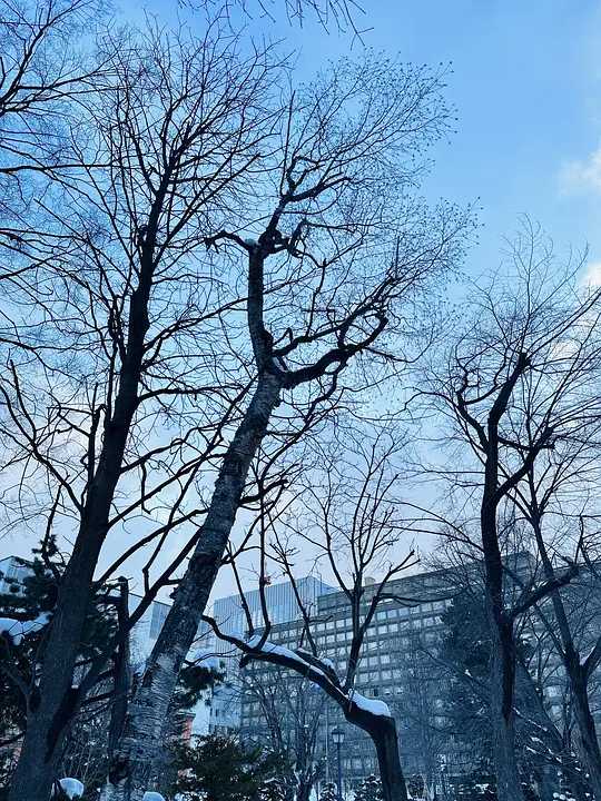 Sapporo/Hokkaido-Sapporo TV Tower, sunny after snow, strolling on the streets of Sapporo