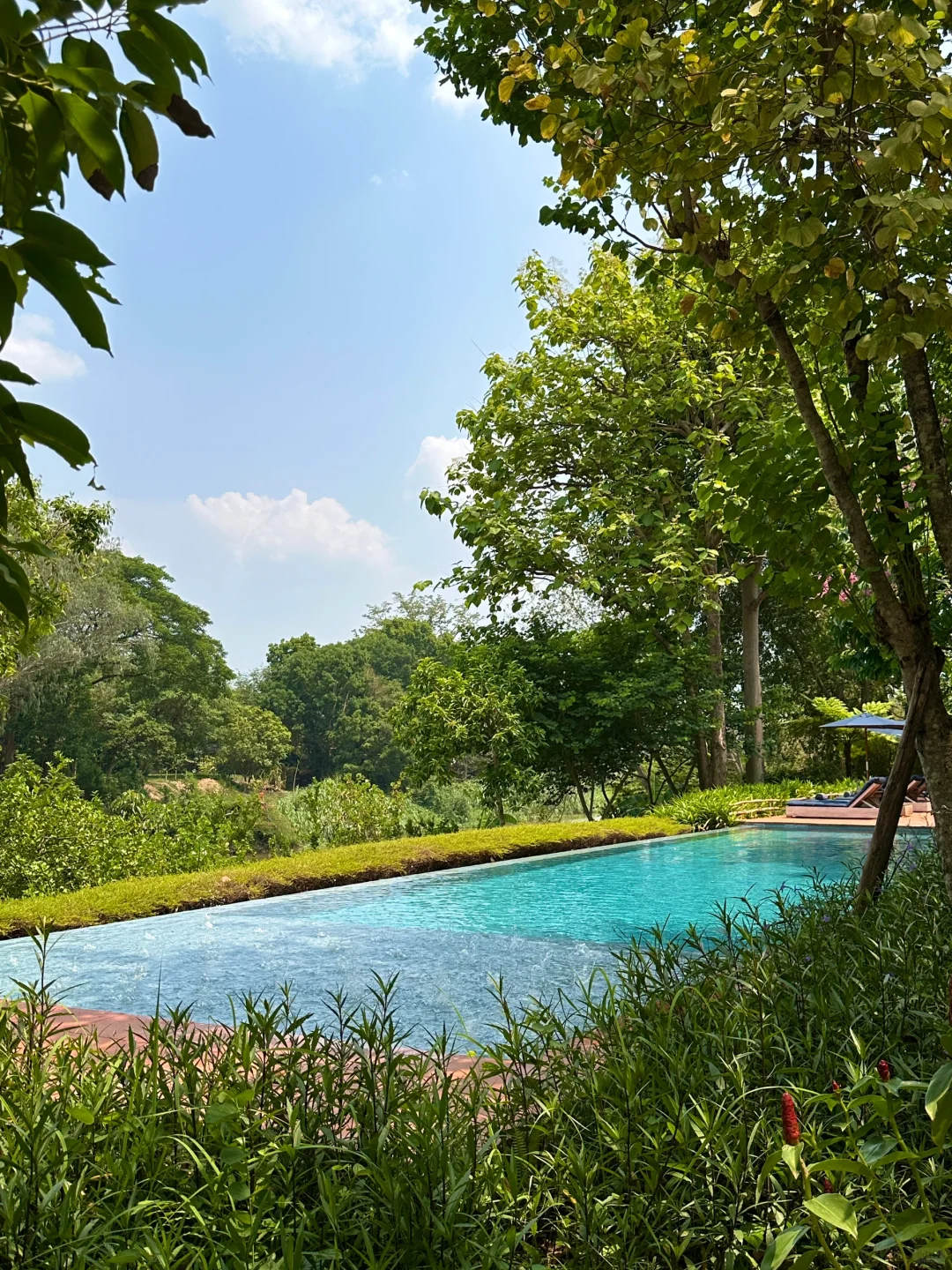 Chiang Mai-Chiang Mai Raya Heritage Hotel, enjoy the sun and food