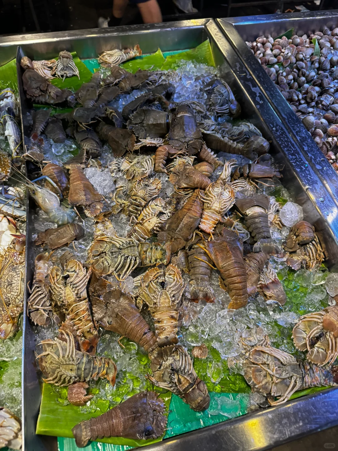 Chiang Mai-Anda grilled pork & seafood Chiang Mai，10 yuan per person to eat until you are full