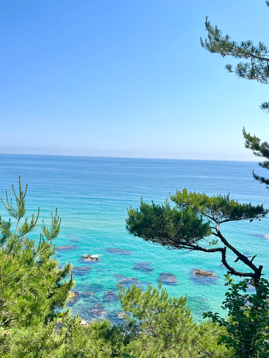 Seoul-I saw the beautiful jelly sea in Gangneung. It was the first time I saw such a beautiful sea.