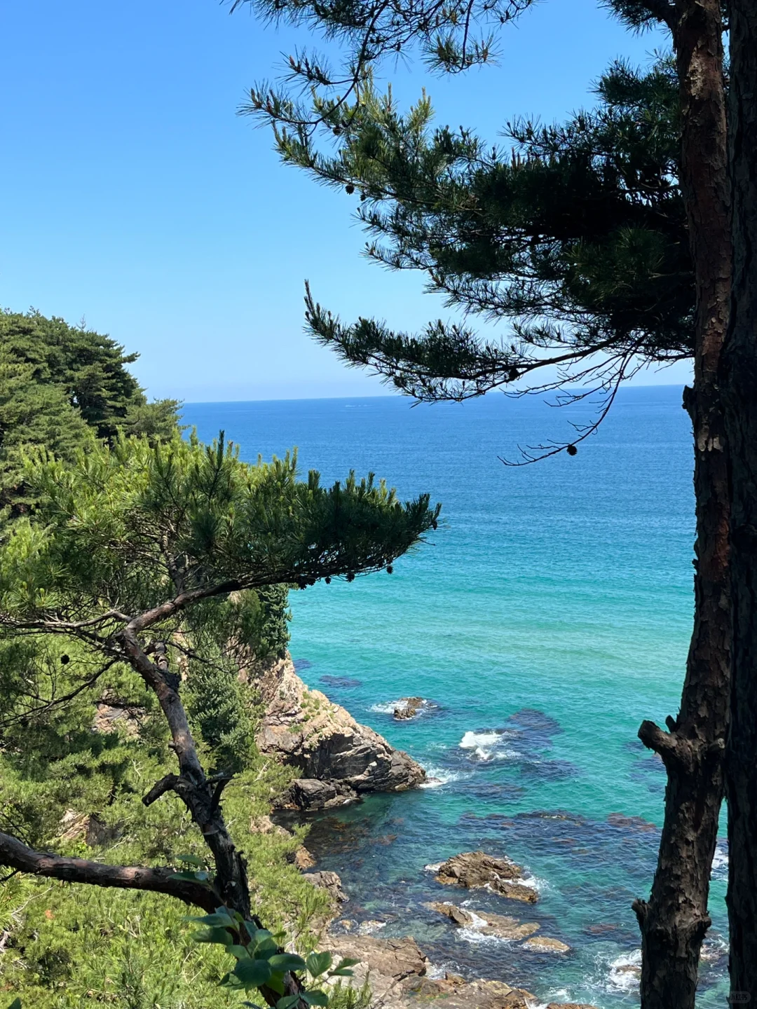 Seoul-I saw the beautiful jelly sea in Gangneung. It was the first time I saw such a beautiful sea.