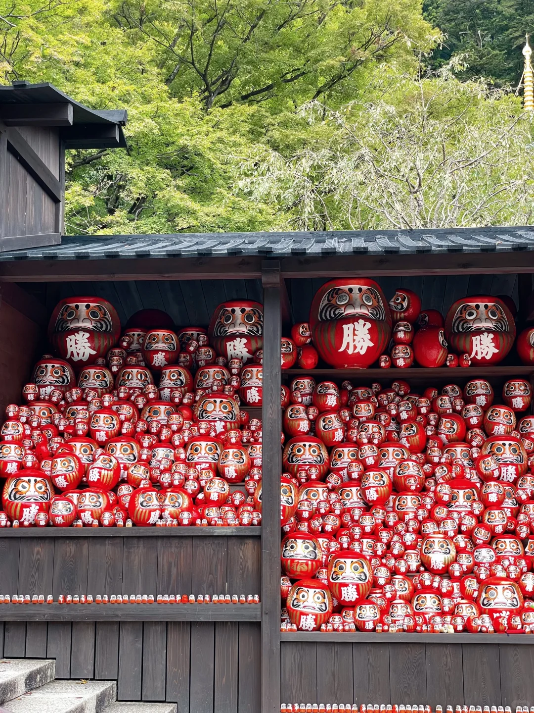 Osaka-Katsuoji Temple in Osaka, Daruma dolls are everywhere and very cute